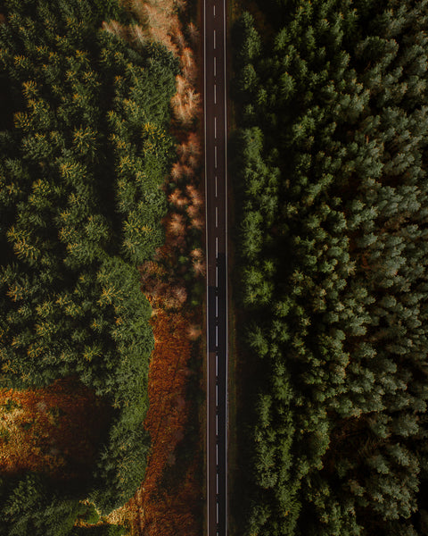 Aerial photo of paved road surrounded by trees