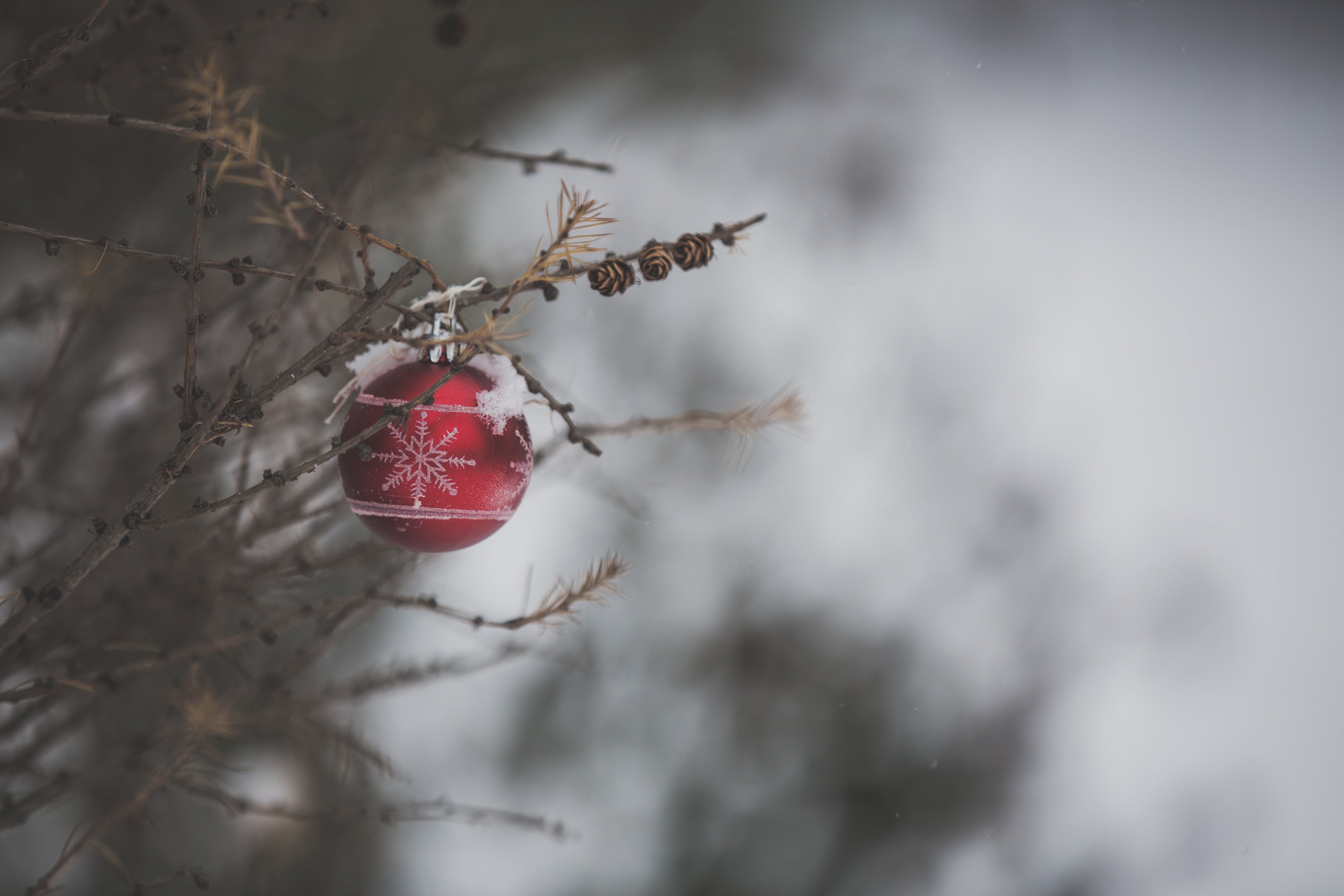 Entdecke jetzt unsere Weihnachtskollektion!🌟🎄✨